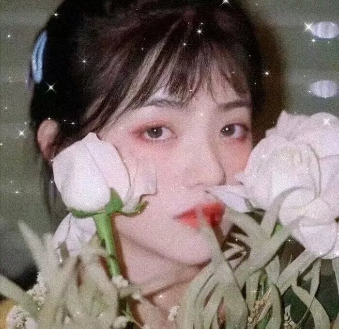 爱情治愈 封面